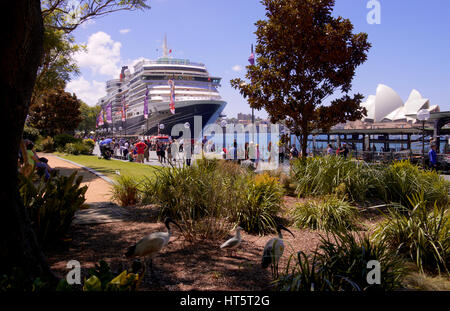 Ms Queen Victoria am Circular Quay Sydney Australien günstig Stockfoto