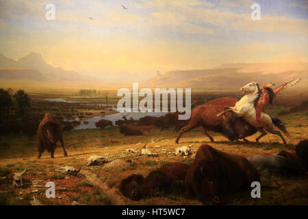 Der Letzte der Büffel von amerikanischer Maler Albert Bierstadt Anzeige in der National Gallery in Washington D.C. USA Stockfoto