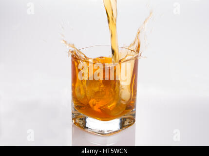 Splash in Glas Scotch Whisky mit Eiswürfeln Stockfoto