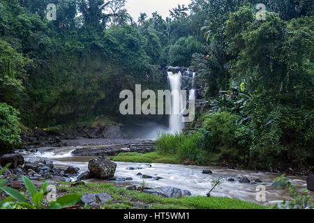 Kleiner Wasserfall mit einem Fluss im Dschungel. Sie umgeben von vielen Felsen und Steinen und Bäumen. Im Freien. Horizontale. Stockfoto