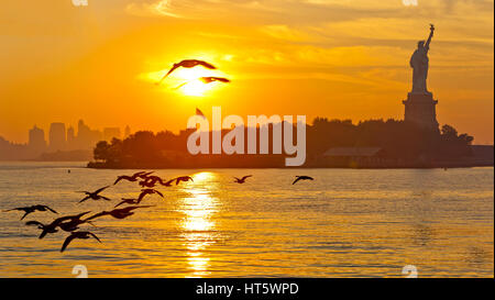 Sunrise und die Freiheitsstatue und ein Schwarm Vögel fliegen und New York City. Stockfoto