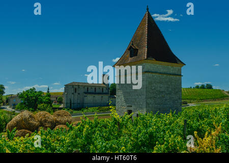 Französisch pigeonnier oder Schwalbenkote in Andillac, inmitten von Gaillac-Weinbergen, Occitanie, Frankreich Stockfoto