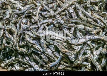 Südkorea, Yeongnam Region, Busan, getrocknete Sardellen im Yagalchi Fish Market Stockfoto