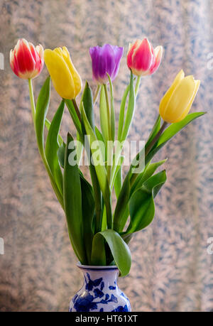 Fünf Tulpen, rot, gelb und lila in vase Stockfoto
