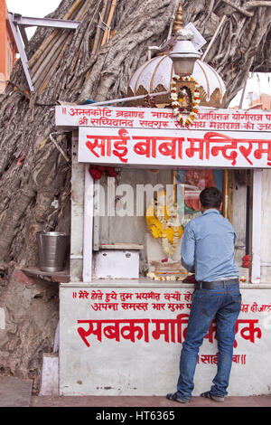 Ein unbekannter Mann eine Darbringung an ein Hindu Schrein im Windschatten der Banyan-Baum auf der Seite der Straße in Jaipur, Indien Stockfoto