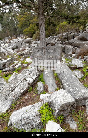 Gefallenen Spalten-Ruinen des Gymnasiums und komplexe Bäder in grauen steinernen Quadern nahe dem oberen Tor der Stadt in der aktuellen Güllük Dagi-Termessos Stockfoto