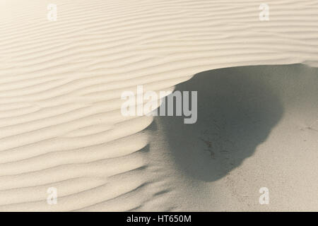 Windgepeitschten Sand Muster Ninety Mile Beach, Northland NZ Stockfoto