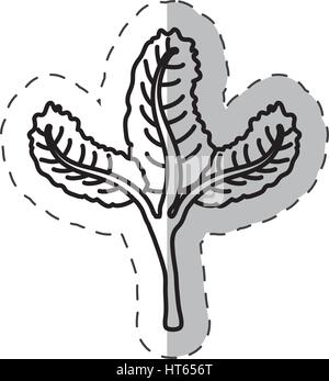 Letucce pflanzliche Gesundheit Schnittlinie Stock Vektor