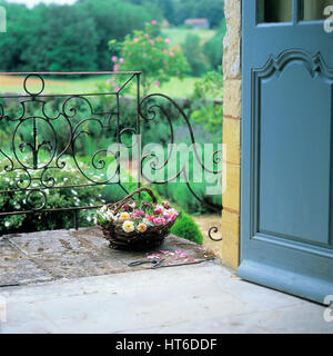 Topfpflanze auf Balkon. Stockfoto