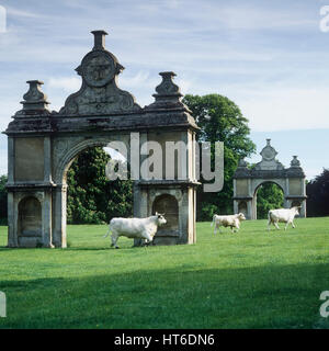 Bullen auf Rasen mit Bogen Strukturen. Stockfoto