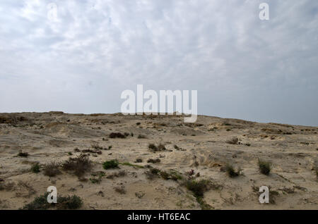 Vulkanische Felsen am Strand von Al-Ghariya, Katar Stockfoto