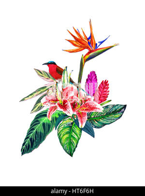 Handgemachte Aquarell isoliert auf weißem Hintergrund. Mode oder Briefpapier, Gruß/Einladung Karte Hawaii Stil, botanische Illustration. Stockfoto