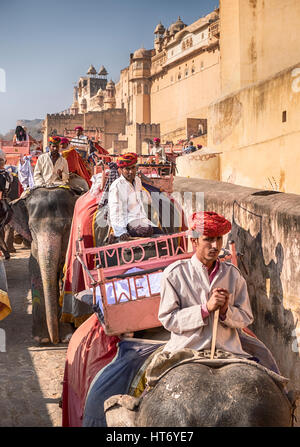 AMER, Indien - 18. November 2016: Auf dem Weg zum Amber Fort in der Stadt von Amer in der Nähe von Jaipur, Indien, zwei Linien von Elefanten unterwegs sind. Ein ro Stockfoto