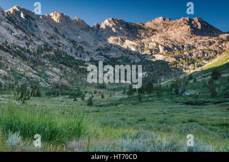 Lamoille Canyon in Ruby Mountains in der Nähe von Elko, Nevada, USA Stockfoto