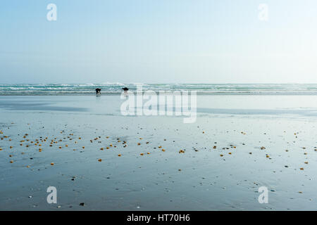 Windgepeitschten Sand Muster Ninety Mile Beach, Northland NZ Stockfoto