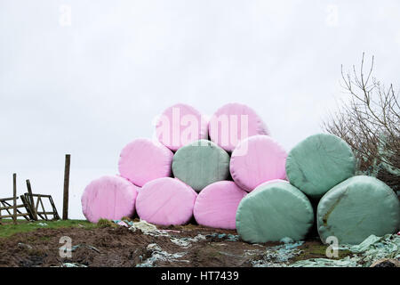 Rosa und grün Kunststoff Silageballen in der Form einer Blume in einem Feld im Frühjahr, Carmarthenshire, Wales UK KATHY DEWITT Stockfoto