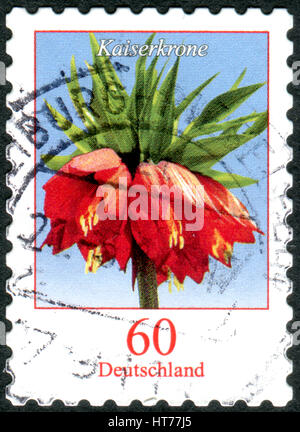 Deutschland - ca. 2013: Eine Briefmarke gedruckt in Deutschland, zeigt eine Blüte Fritillaria Imperialis, ca. 2013 Stockfoto