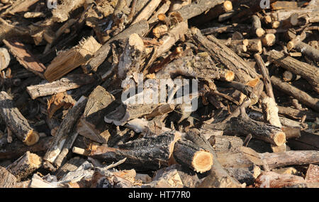 großen Holzschuppen mit vielen Stücken Holz bereit, verbrannt werden, um in den Bergen im Winter warm halten Stockfoto