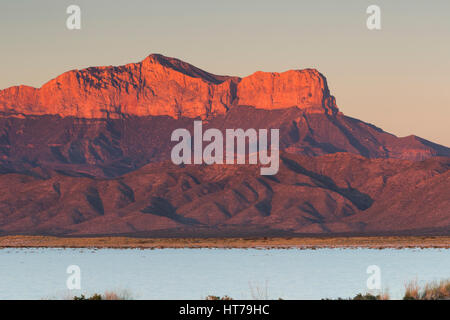 Guadalupe Peak (Elev 8749 ft) und El Capitan (Elev 8085 ft) mit Wasser in Salinen, Guadalupe National Park, TX, USA Stockfoto