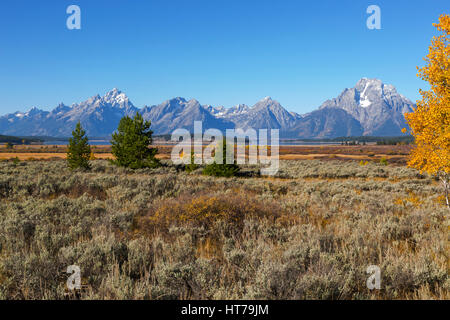 Teton Range von Willow Flats Overlook, Grand Teton Nationalpark, WY, USA Stockfoto