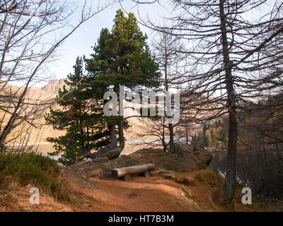 Val Piora, Schweiz: Seen Ritomsee, Cadagno, Tom im Herbst. Stockfoto