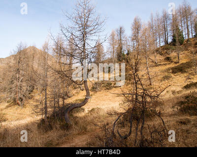 Val Piora, Schweiz: Seen Ritomsee, Cadagno, Tom im Herbst. Stockfoto