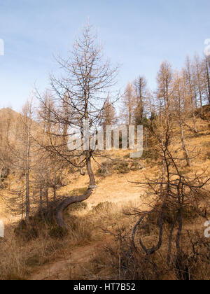 Val Piora, Schweiz: Seen Ritomsee, Cadagno, Tom im Herbst. Stockfoto