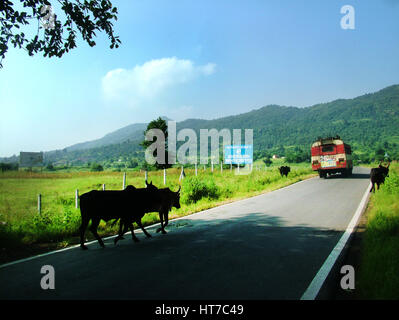 Schöne Landschaft Single Road, Dorfgebiet, Karjat, Side Mountain Valley, Transport Bus Road, (Copyright © Saji Maramon) Stockfoto