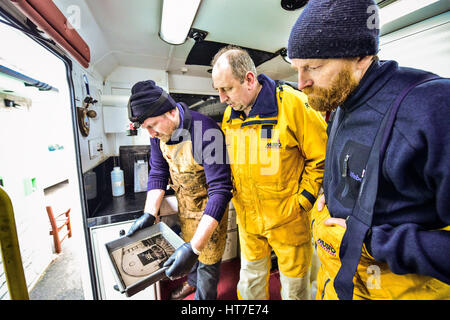 Fotograf Jack Lowe, Platte zeigt Rettungsboot-Crews ein viktorianischen Glas Platte Foto, das er in seine mobile Dunkelkammer, einem stillgelegten NHS Krankenwagen entwickelt, die er nutzt, um Reisen mit seinen viktorianischen Glas Kamera in seiner Mission, alle 237 RNLI-Rettungsboot-Stationen in Großbritannien und Irland für das The Lifeboat Station Projekt zu erfassen. Stockfoto