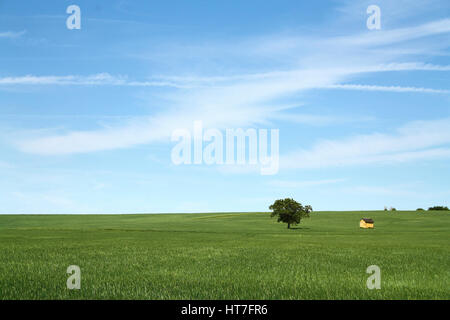 BAUM UND HÜTTE IN EINEM FELD FRANKREICH Stockfoto