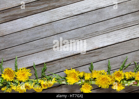 Frühling Hintergrund. Kranz aus Löwenzahn frische Blumen auf einem hölzernen Hintergrund. Kopieren Sie Raum. Stockfoto