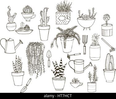 Satz von handgezeichneten Bildern mit Topfpflanzen und Werkzeuge. Saubere Strichzeichnungen geeignet für repaining und Malbüchern. Stock Vektor