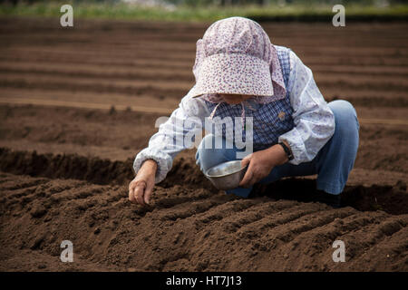 Eine Bäuerin Pflanzen für die kommende Vegetationsperiode In Tokio, Japan Stockfoto