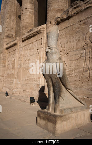 Statue des Gottes Horus als ein Falke In Edfu Tempel, Ägypten Stockfoto