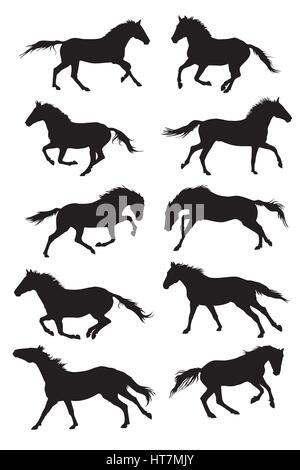 Abbildung mit Pferd-Silhouetten-Sammlung isoliert auf weißem Hintergrund Stock Vektor
