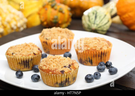 Kürbis-Muffins mit Preiselbeeren auf dem Teller Stockfoto