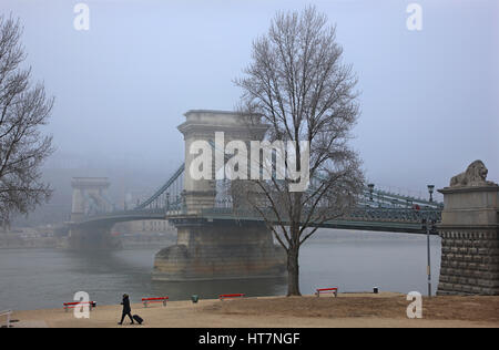 Die Donau und Széchenyi Kettenbrücke halb verborgen im Nebel. Budapest, Ungarn. Foto von der Seite von Pest. Stockfoto