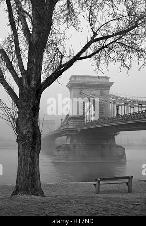 Die Donau und Széchenyi Kettenbrücke halb verborgen im Nebel. Budapest, Ungarn. Foto von der Seite von Pest. Stockfoto