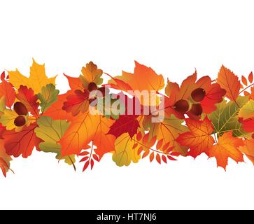 Fallen die nahtlose grenzüberschreitende Blätter im Herbst Hintergrund Jahreszeit flora Einrichtung Stock Vektor