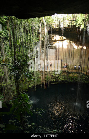 Cenote Ik Kil / Yucatan, Mexiko Stockfoto