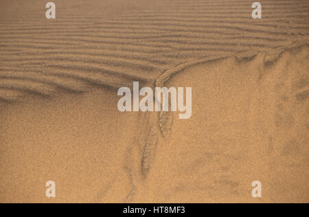 Windmuster in den Sand der Namib-Wüste Stockfoto