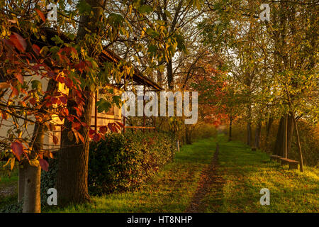 schöne Landstraße in den Sonnenuntergang im Herbst Stockfoto