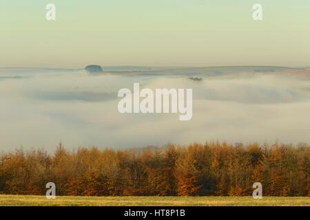 Wellen von Nebel Stockfoto