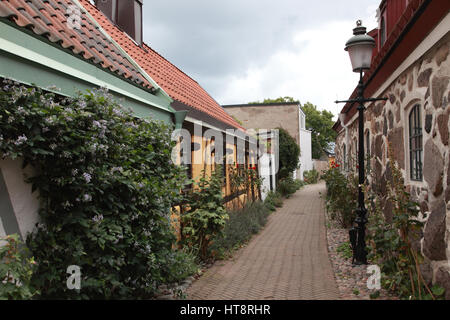 Gasse mit Land Gartenblumen im Zentrum von Ystad an der Ostseeküste von Südschweden Stockfoto