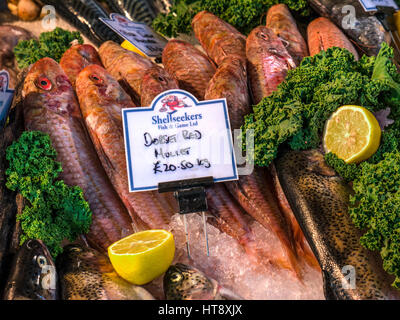 Frischen britischen Dorset Rotbarbe auf dem Display auf Fischhändler Markt stall, bei Borough Market London UK Stockfoto