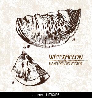 Digitale Vektor detaillierte Wassermelone handgezeichnete Retro-Abbildung Sammlungssatz. Dünne lineare Kunststift Gliederung. Flachen Stil Vintage Tinte, graviert Stock Vektor