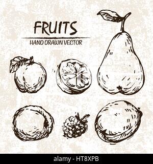 Digitale Vektor detaillierte handgezeichnete Retro-Abbildung Sammlung Fruchtansatz. Dünne lineare Kunststift Gliederung. Vintage Tinte flachen Stil, gravierte simp Stock Vektor