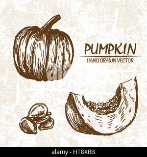 Digitale Vektor detaillierte Kürbis handgezeichnete Retro-Abbildung Sammlungssatz. Dünne lineare Kunststift Gliederung. Vintage Tinte flachen Stil, gravierte si Stock Vektor