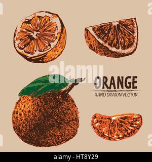 Digitale Vektor detaillierte Farbe orange handgezeichnete Retro-Abbildung Sammlungssatz. Dünne lineare Kunststift Gliederung. Vintage Tinte flachen Stil, Stiche Stock Vektor