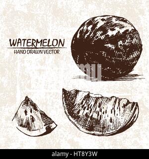 Digitale Vektor detaillierte Wassermelone handgezeichnete Retro-Abbildung Sammlungssatz. Dünne lineare Kunststift Gliederung. Flachen Stil Vintage Tinte, graviert Stock Vektor